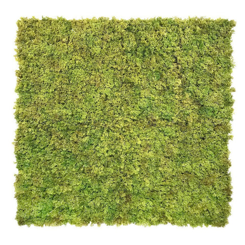 Evergreen Moss Natural Green - Evergreen Walls