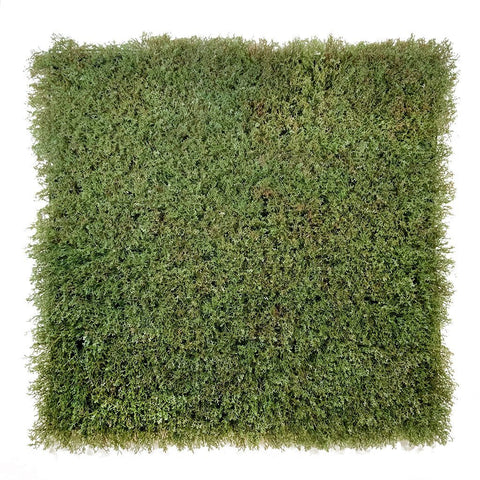 Evergreen Moss Olive Green - Evergreen Walls