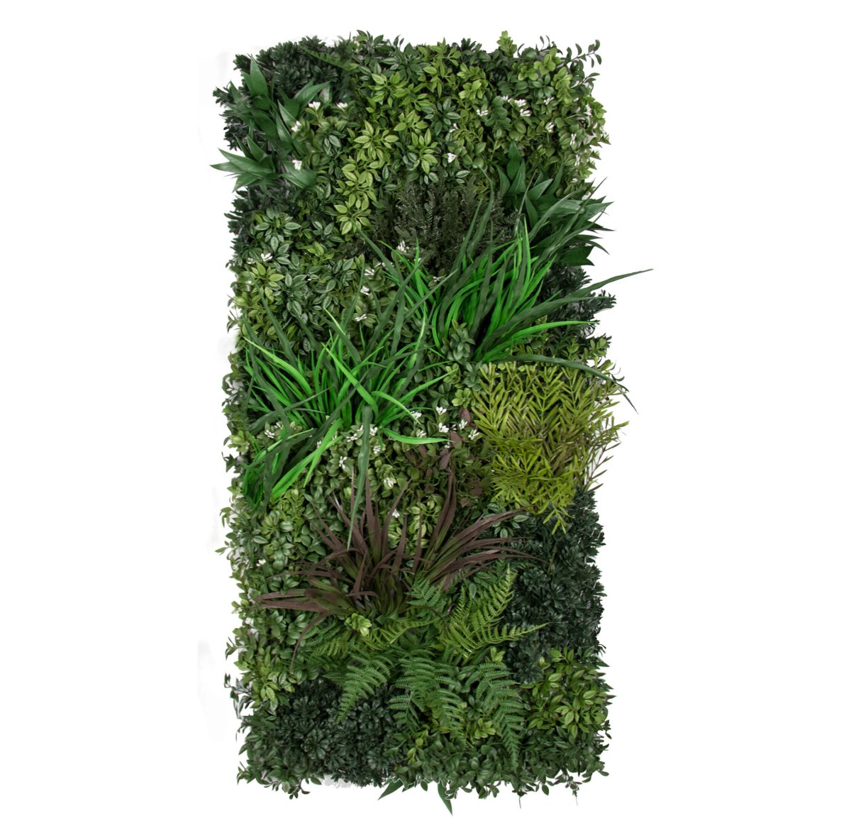 Evergreen Premium Slim 30 x 90 - Evergreen Walls