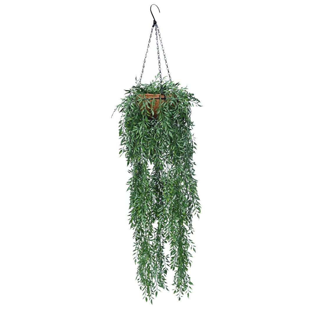 Ferns Hanging Basket (UV) - Evergreen Walls