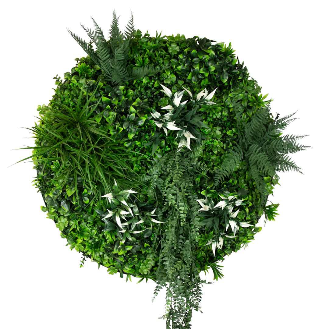 Garden Disc - Evergreen Walls