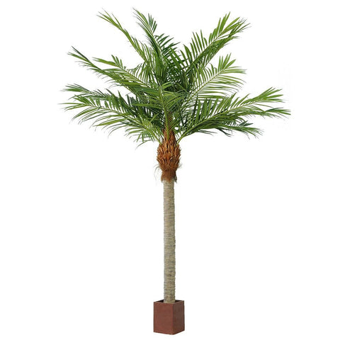 Giant Majesty Palm Tree 490cm - Evergreen Walls