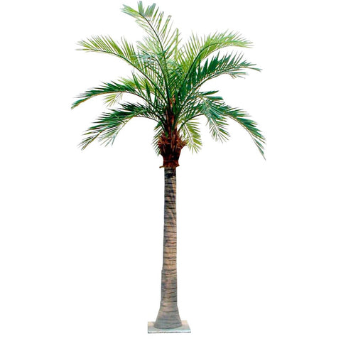 Giant Coconut Palm Tree 550cm