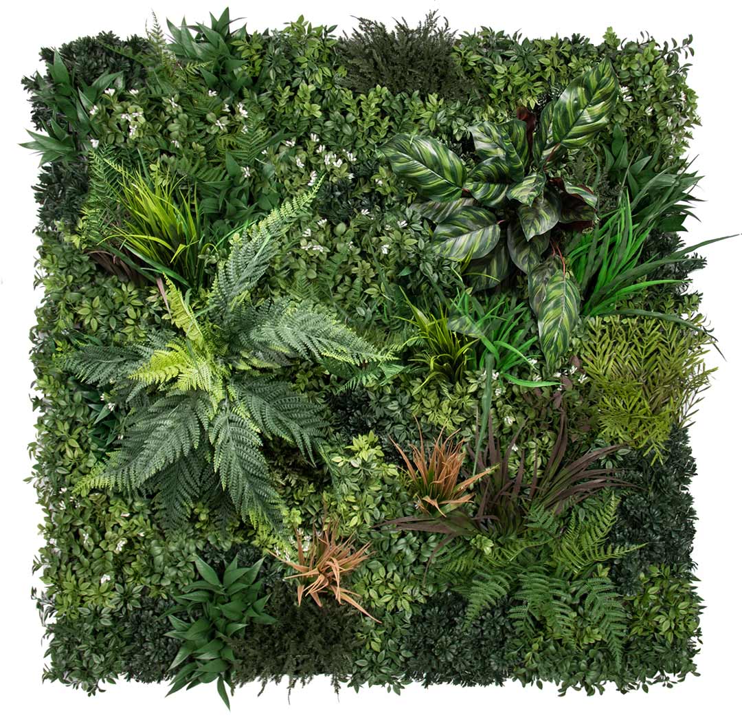 Premium Amazon - Evergreen Walls