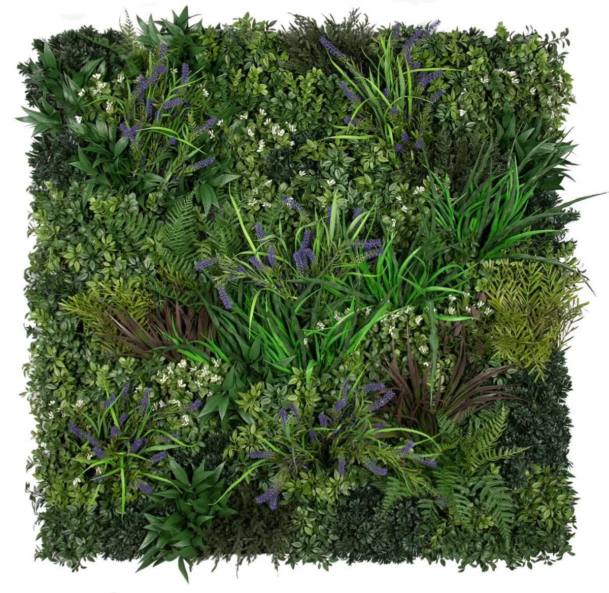 Premium Lavender - Evergreen Walls