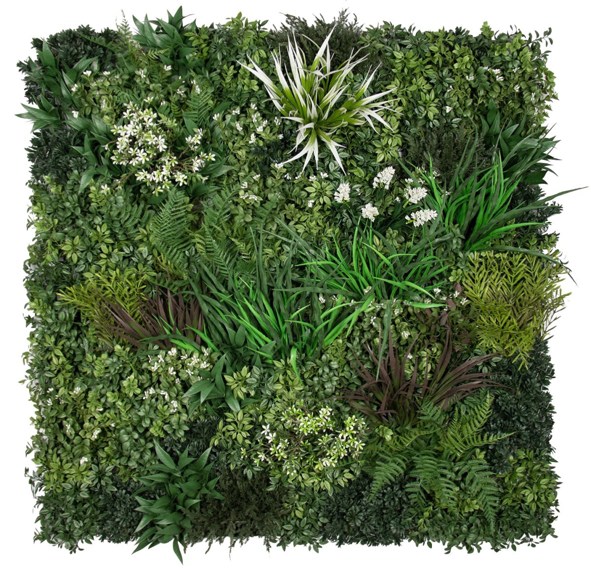 Premium Spring - Evergreen Walls