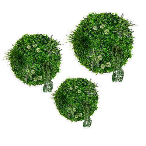 Triple Disc Bundle - 3 x Bloom (S,M,L) - Evergreen Walls