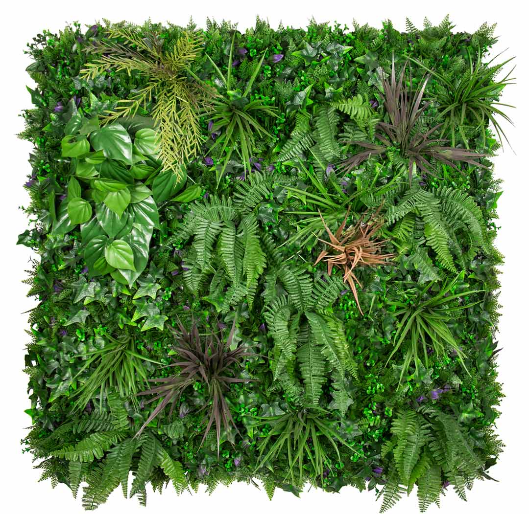 Urban Autumn - Evergreen Walls