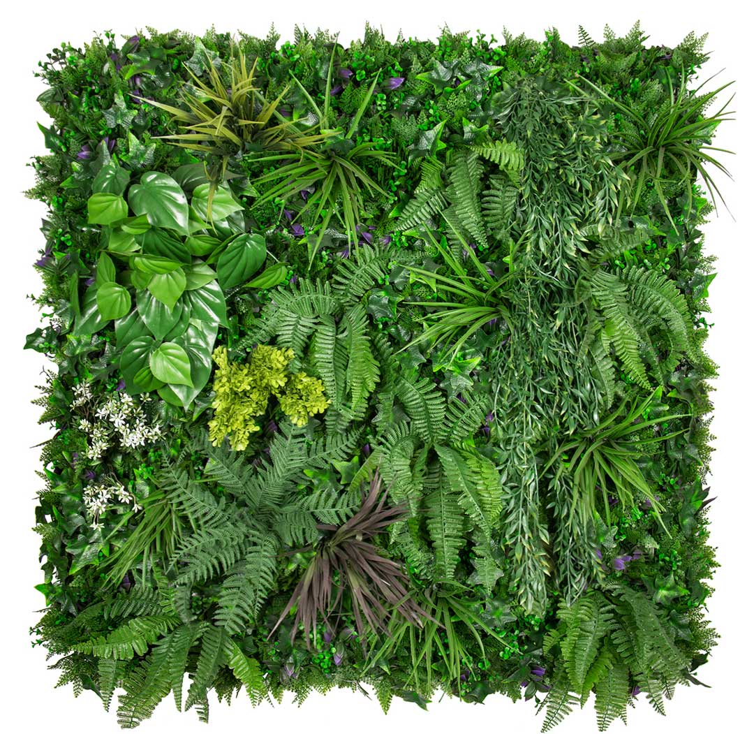 Urban Luxe - Evergreen Walls