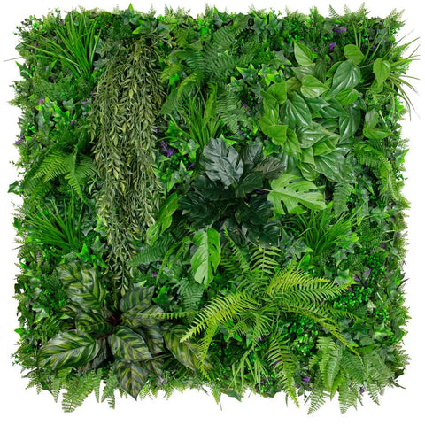Urban Rainforest Indoor - Evergreen Walls