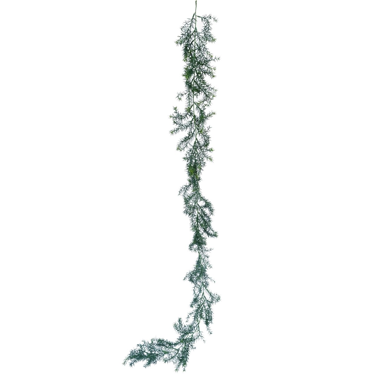 Watergrass Vine - Evergreen Walls