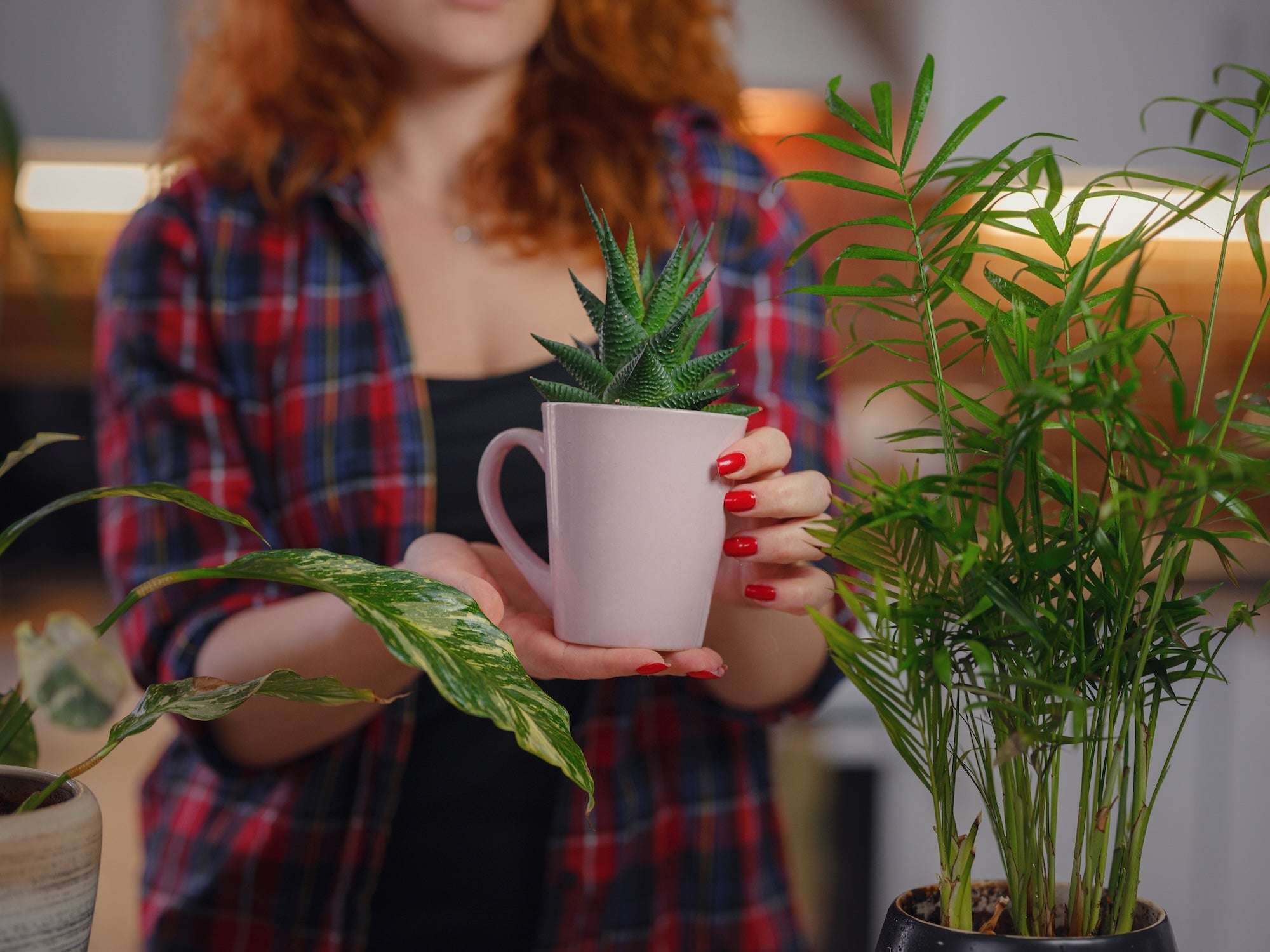 How to Identify Good Artificial Plants