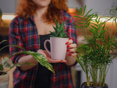 How to Identify Good Artificial Plants
