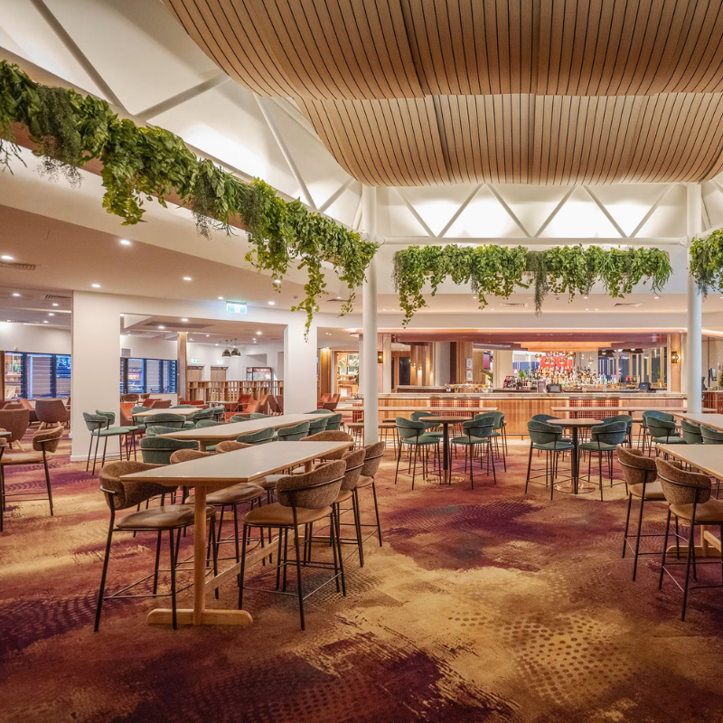 Suspended and Lush: Hanging Greenery at Broncos Leagues Club's Bar & Bistro