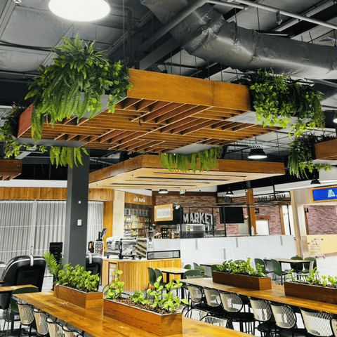 Chirnside Shopping centre artificial greenery fitout faux plant install