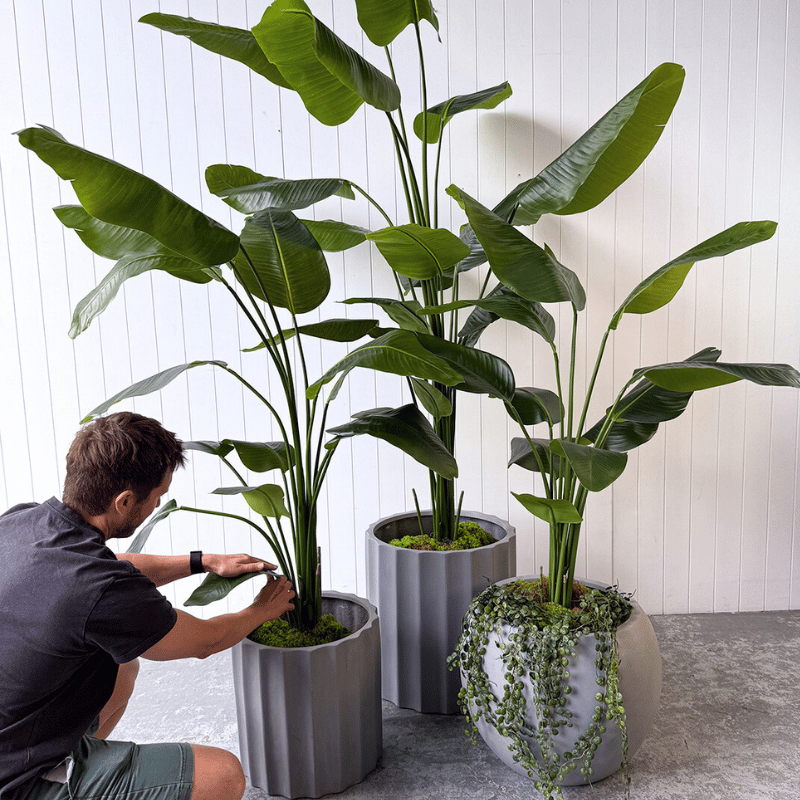 Artificial faux plants and how to keep them looking new