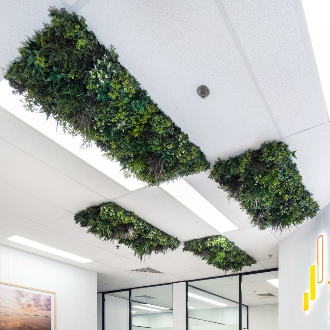 Future Wealth Group Commercial Workspace Evergreen Premium Ceiling Tiles