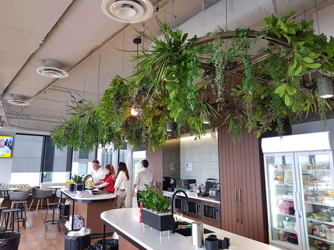 Custom Hanging Greenery Feature For Office Fit-out