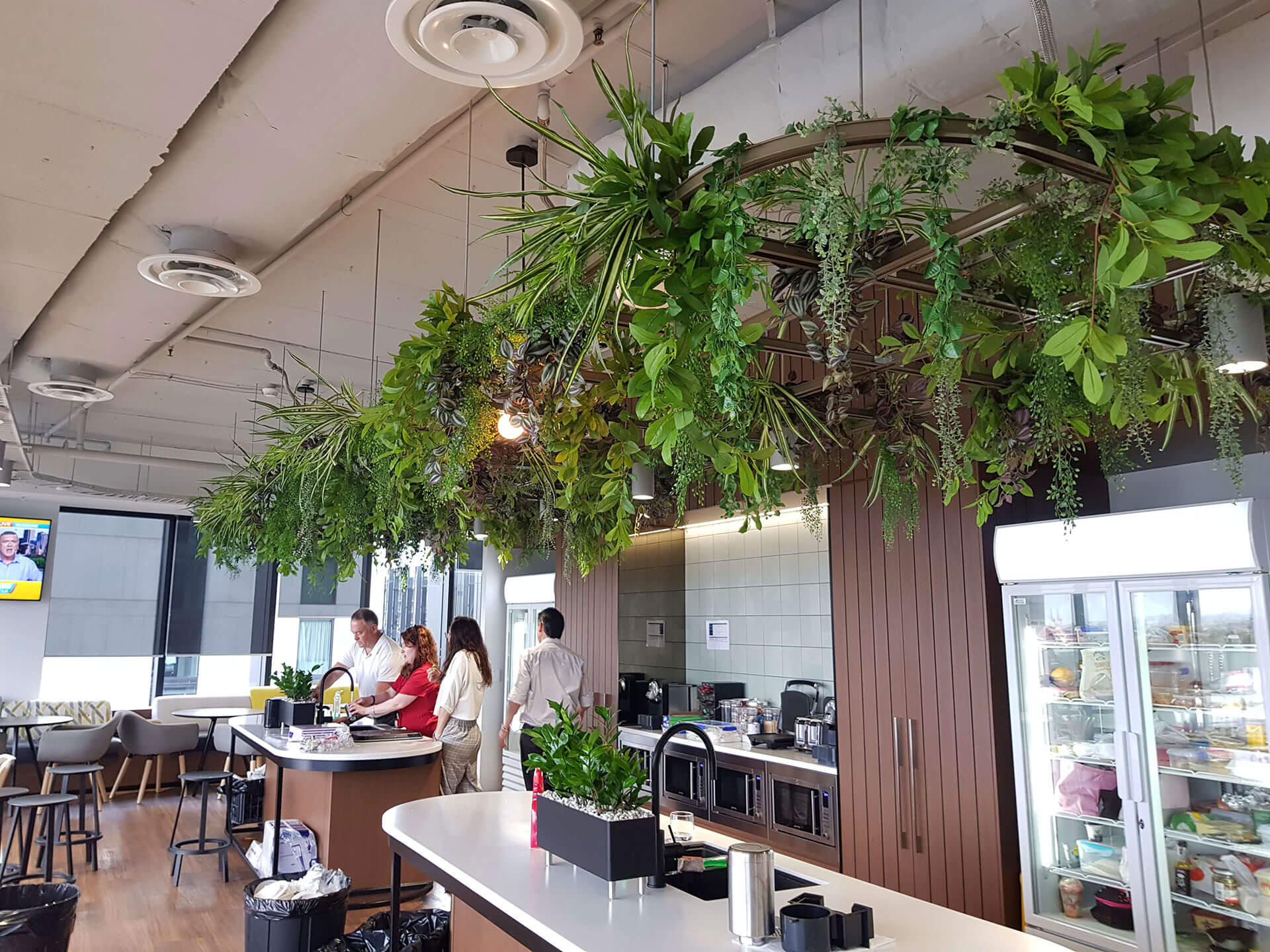 Custom Hanging Greenery Feature For Office Fit-out