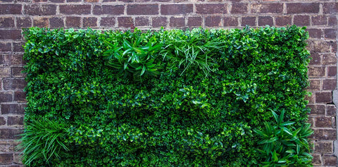 The Beginner's Guide to Vertical Garden Systems