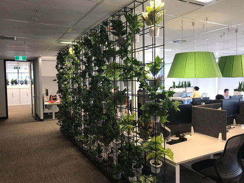 Corporate Head Office Greenery Replacement