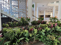 Which artificial plants look the most realistic in 2025