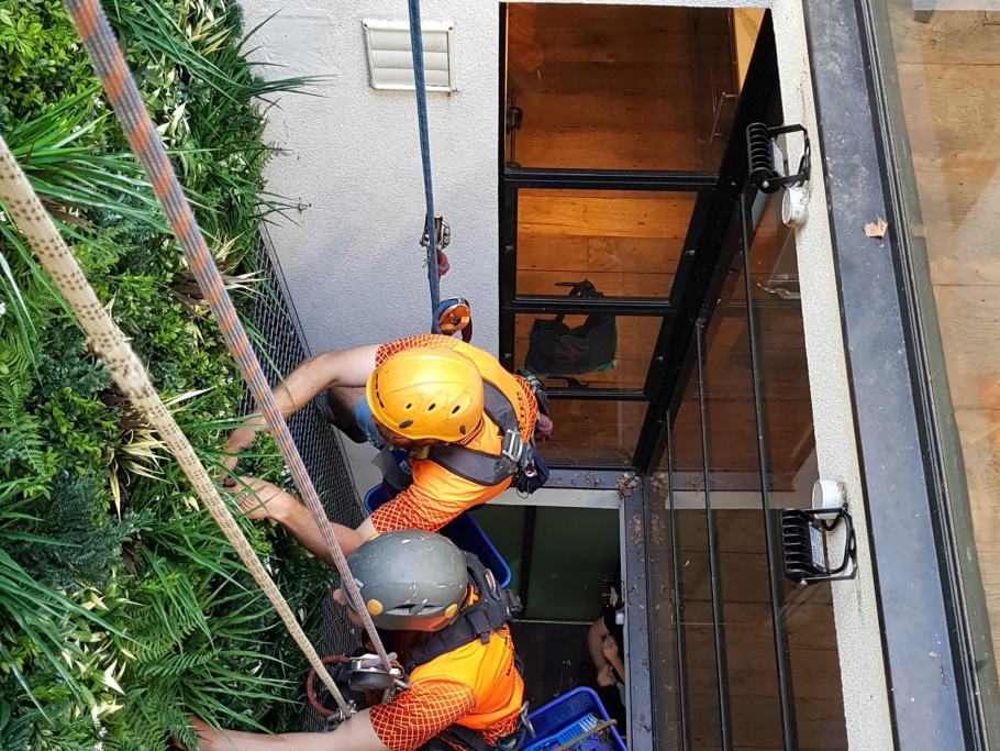 Step-by-Step: Installing Green Walls and Hedge Panels Without a Professional