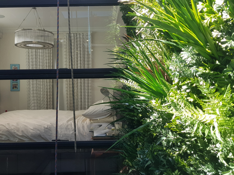 5 Must-Have Artificial Plants for Stylish Home Interiors