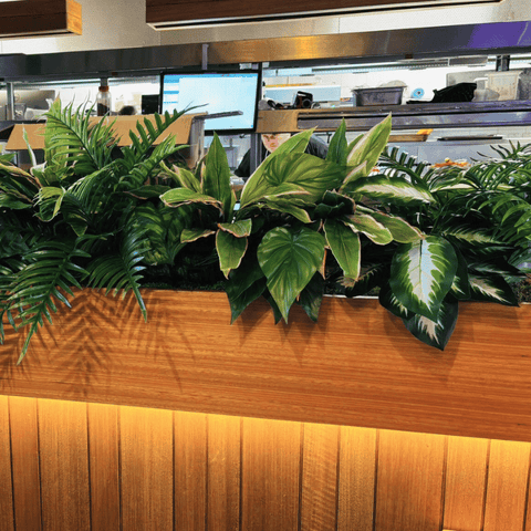 How Willowdale Hotel Upgraded Its Interiors with Artificial Plants