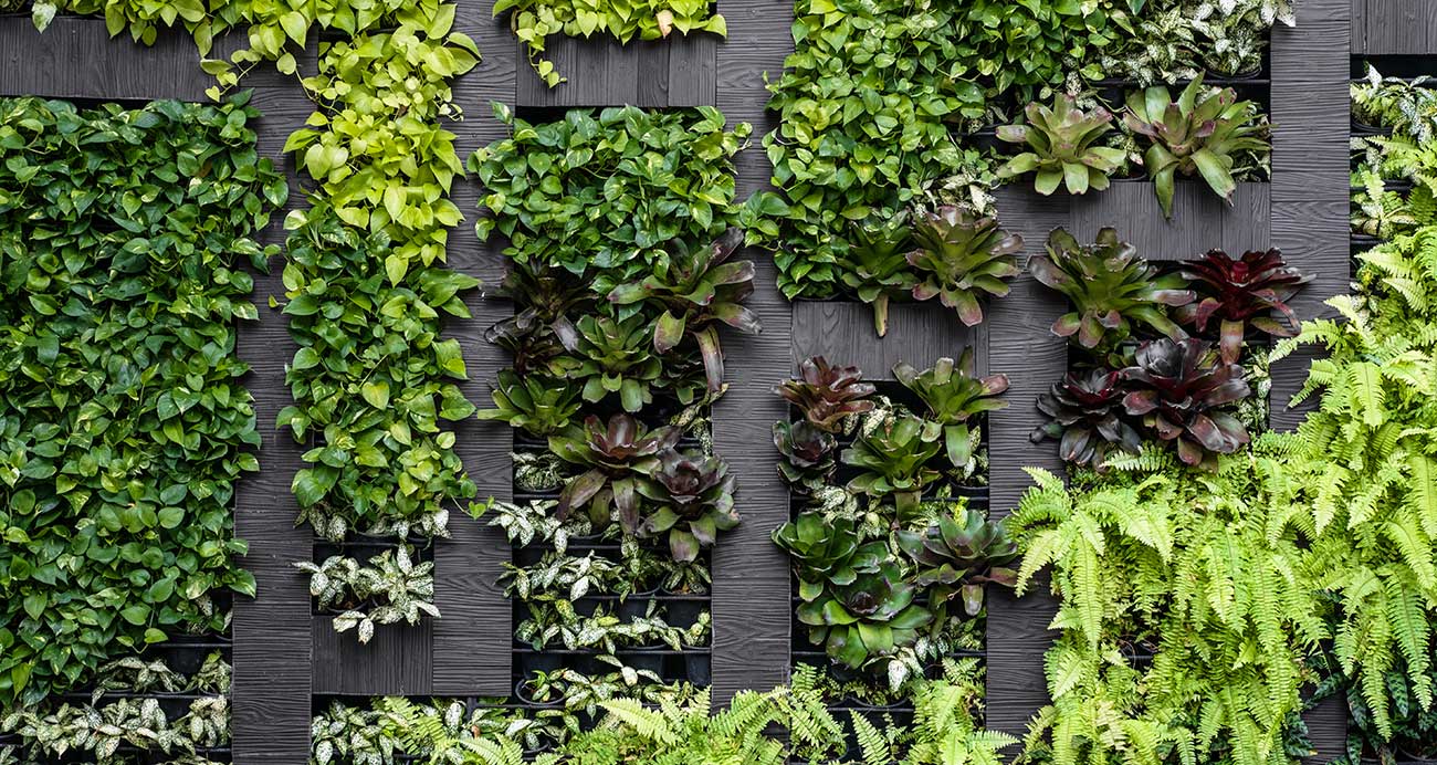 Garden Walls: How to Use a Mix of Artificial and Real Plants