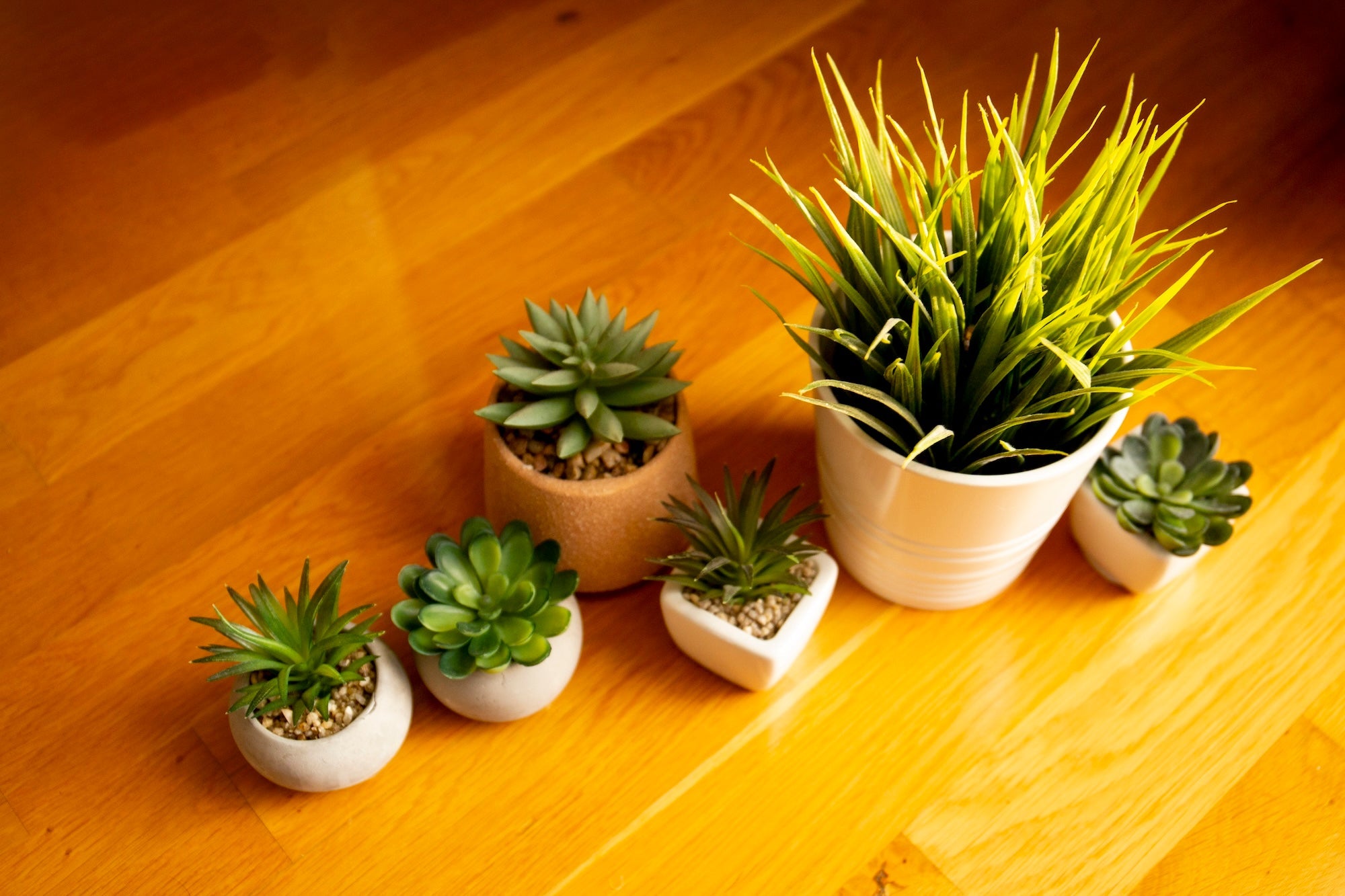 Which Artificial Plants Look Most Realistic