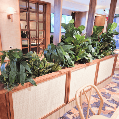 Artificial Plants: How Long Do They Last?