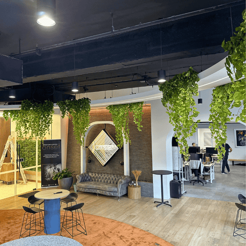Modern Office Greenery: The Onset’s Hanging Pothos Halo