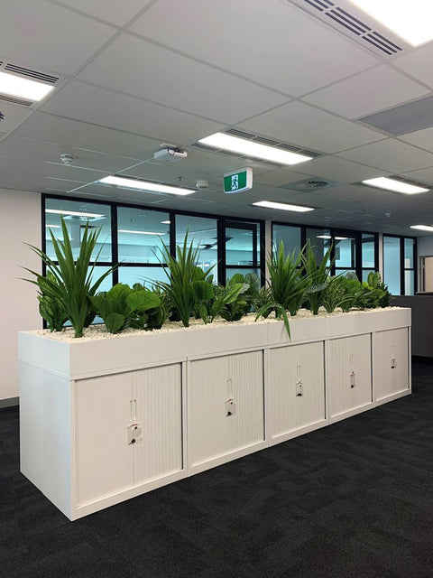 Beyond Bank Adelaide's Fresh New Greenery