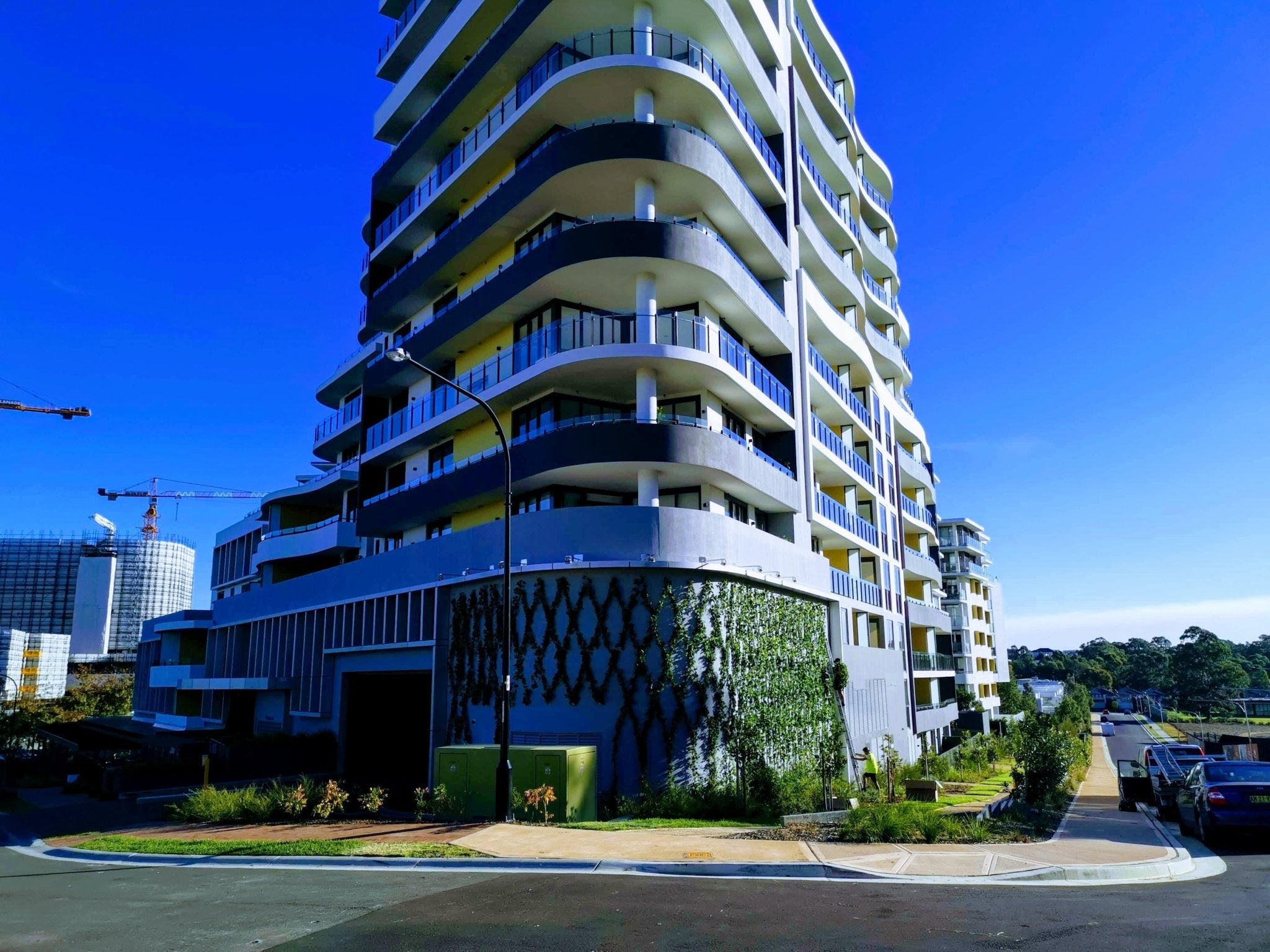 Climbing Greenery At Norwest Haven Apartments - Evergreen Walls