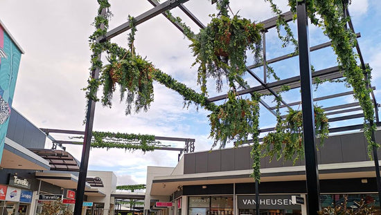 Efficiency in Greenery Specification for Projects: Tips and Strategies - Evergreen Walls