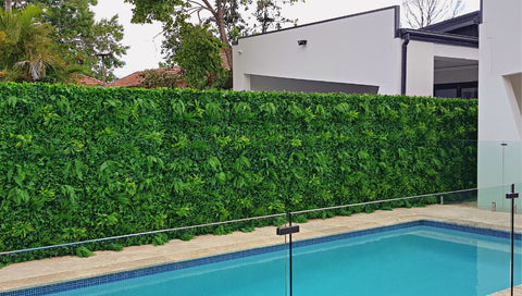 How much does a green wall cost?