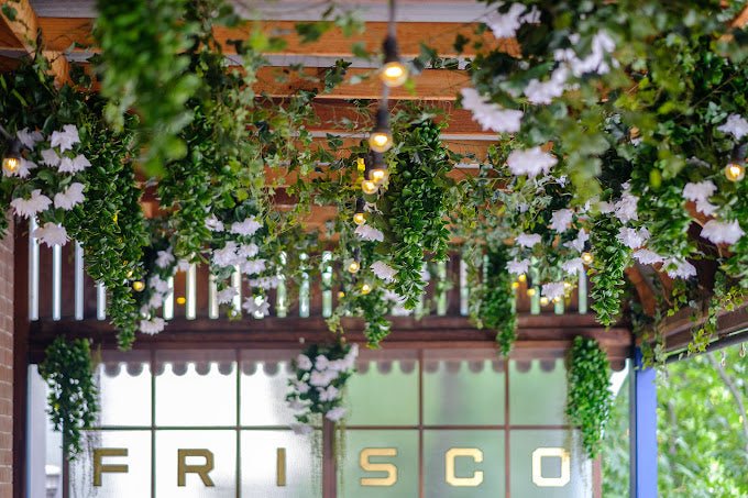 Hanging Greenery for Sydney Bar | Frisco Hotel | Evergreen Walls - Evergreen Walls