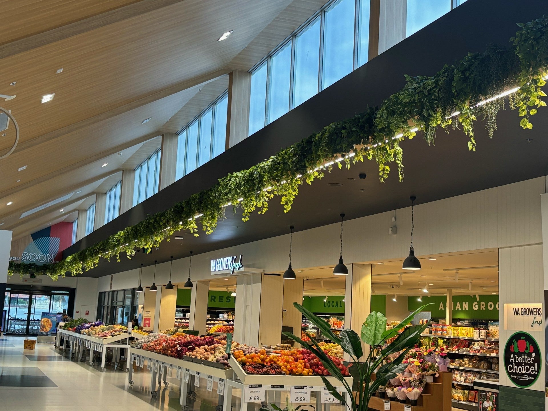 Hanging Greenery, Pot Planter Features at Kwinana Marketplace Shopping Centre, Western Australia - Evergreen Walls
