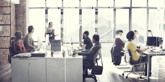 How to Design a Great Office Space - Evergreen Walls