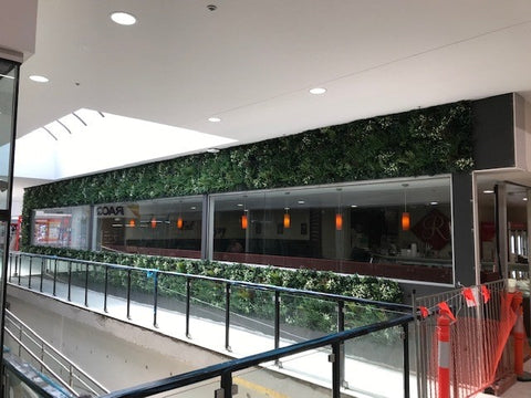Evergreen Premium in Goldfields Plaza for Hutchinson Builders