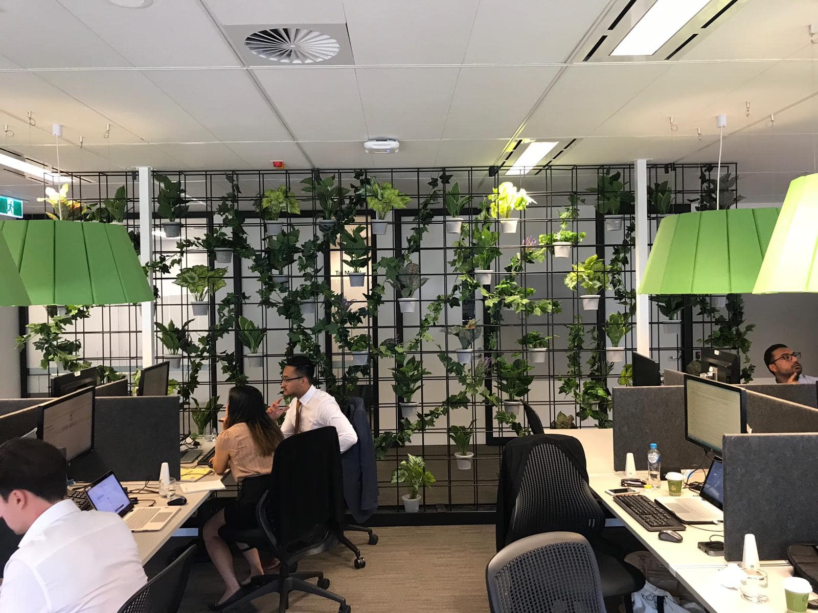 Knight Frank Workplace Office | Internal Greenery Revamp - Evergreen Walls