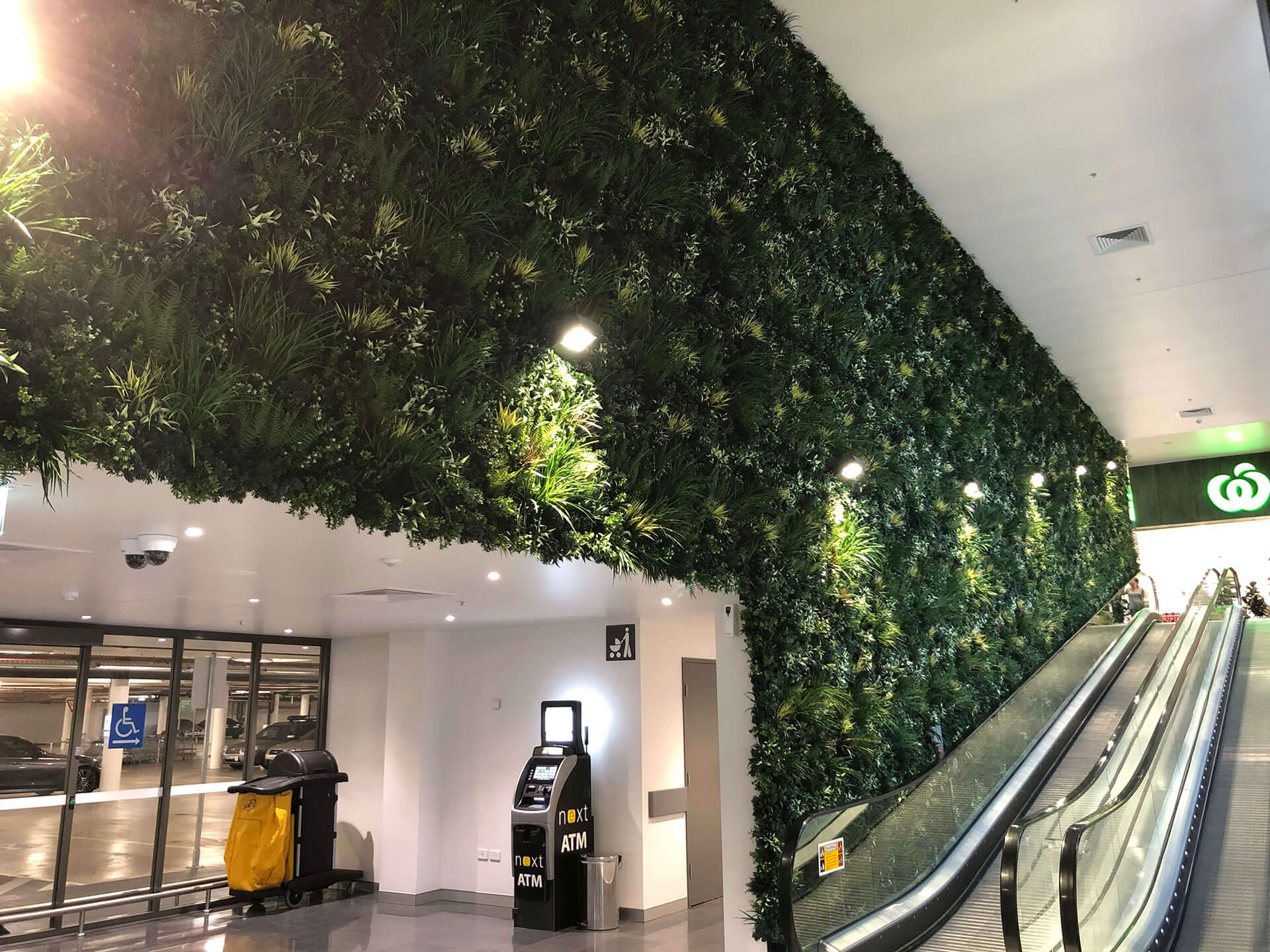 Commercial Shopping Centre Green Wall