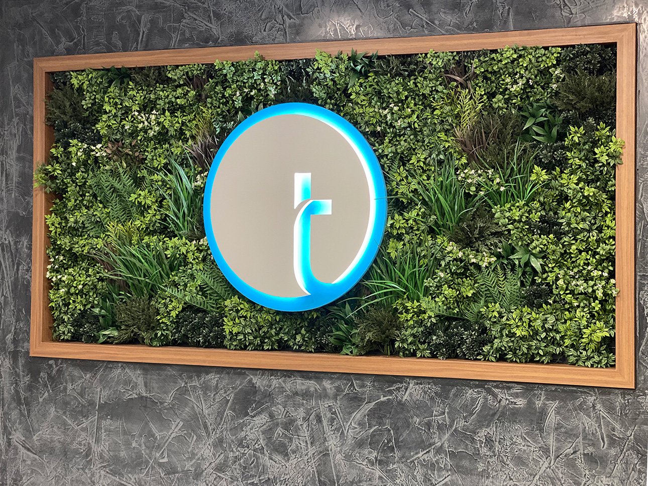 Framed Premium Green Wall feature at Airey Building Group