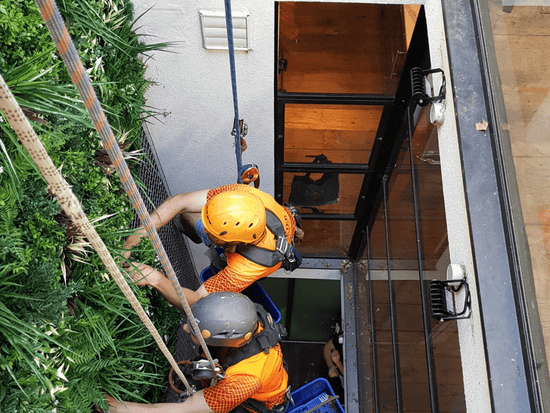 Step-by-Step: Installing Green Walls and Hedge Panels Without a Professional - Evergreen Walls