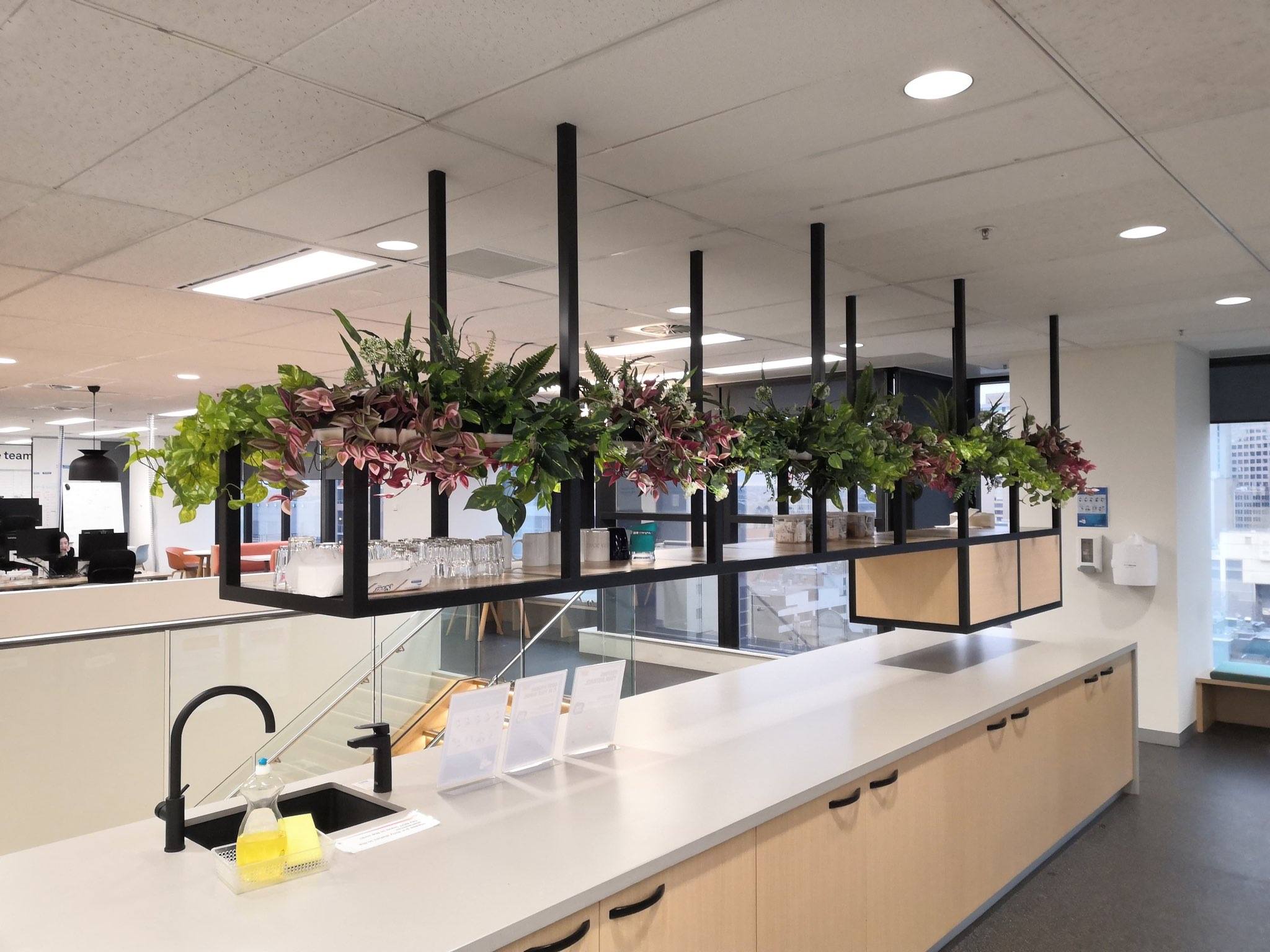 Telstra Office Greenery Installation Featuring Hanging Plants