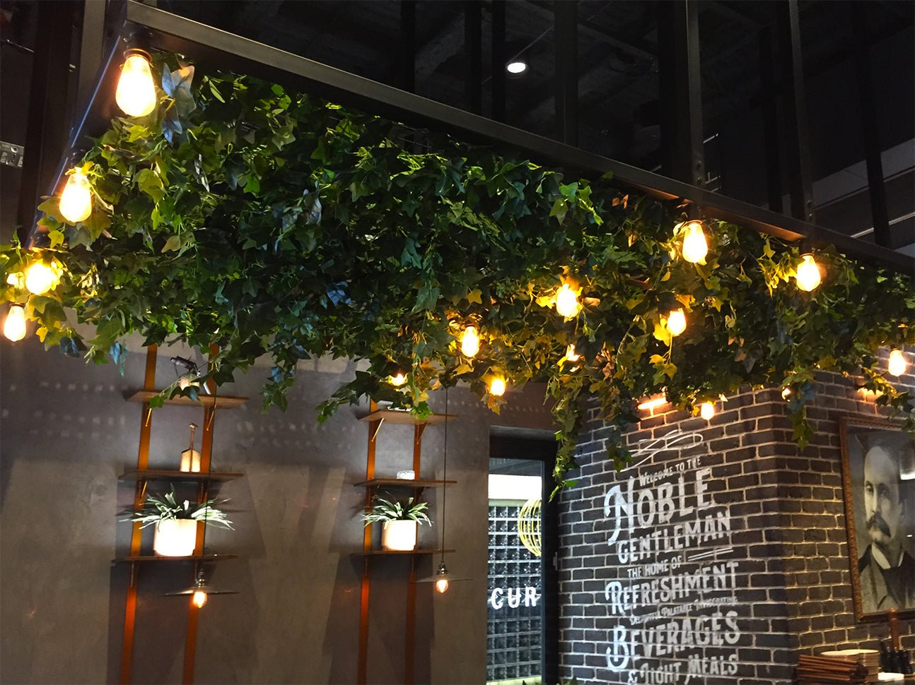 The Noble Gentleman Wine Bar, Ceiling Feature and Planter Pots, South Australia - Evergreen Walls