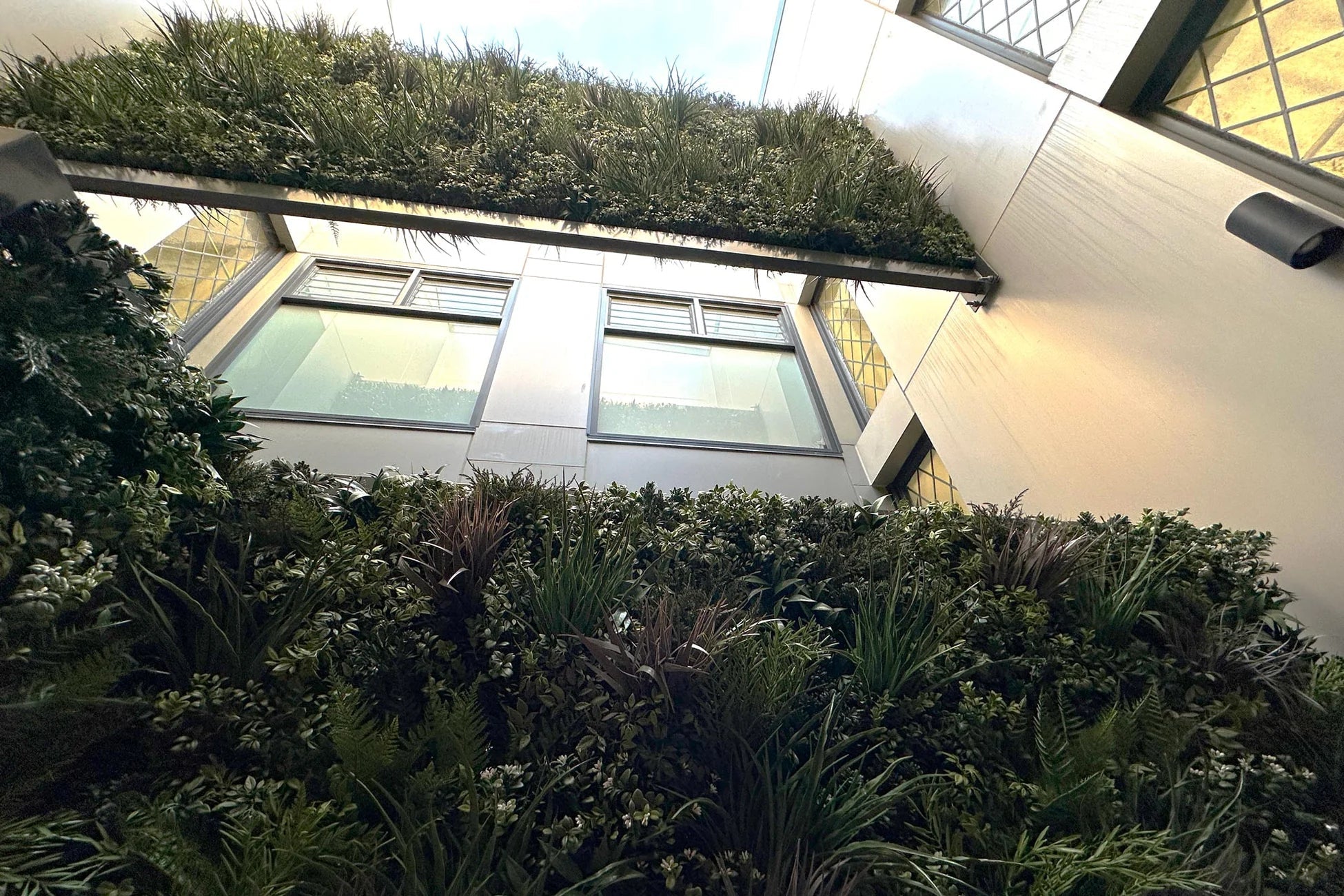 Transforming Sydney University’s Prestigious Wesley College with Evergreen Framed Green Wall Panels - Evergreen Walls