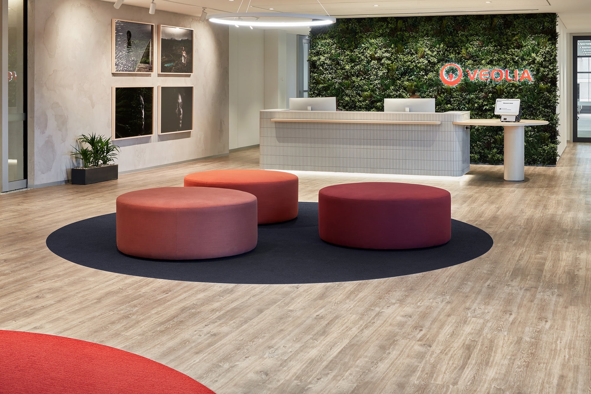 Veolia, Hunter Mason Office fitout, faux premium green wall Installation - Evergreen Walls