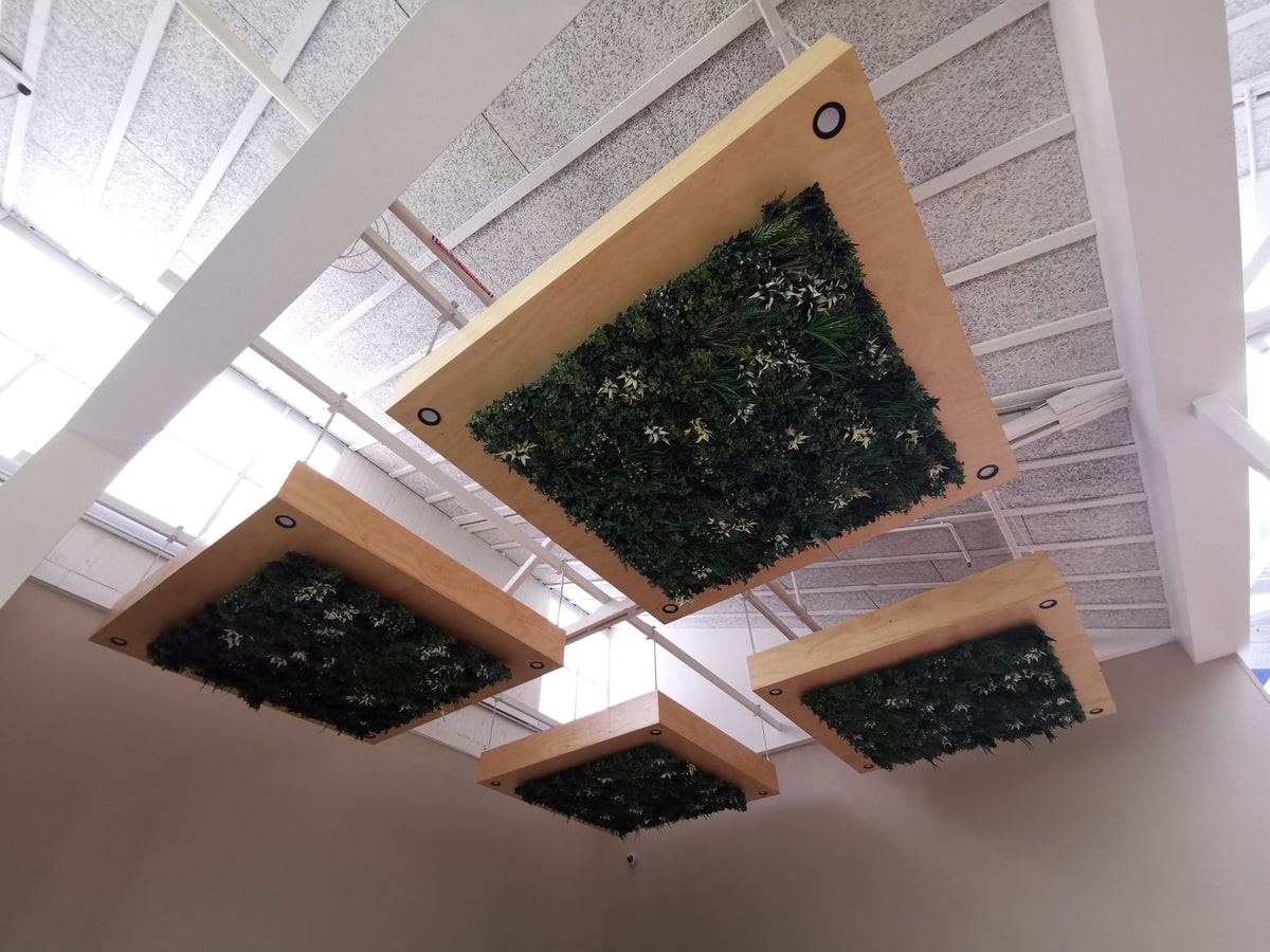 Evergreen Artificial Greenery Ceiling Tile Charles Sturt University
